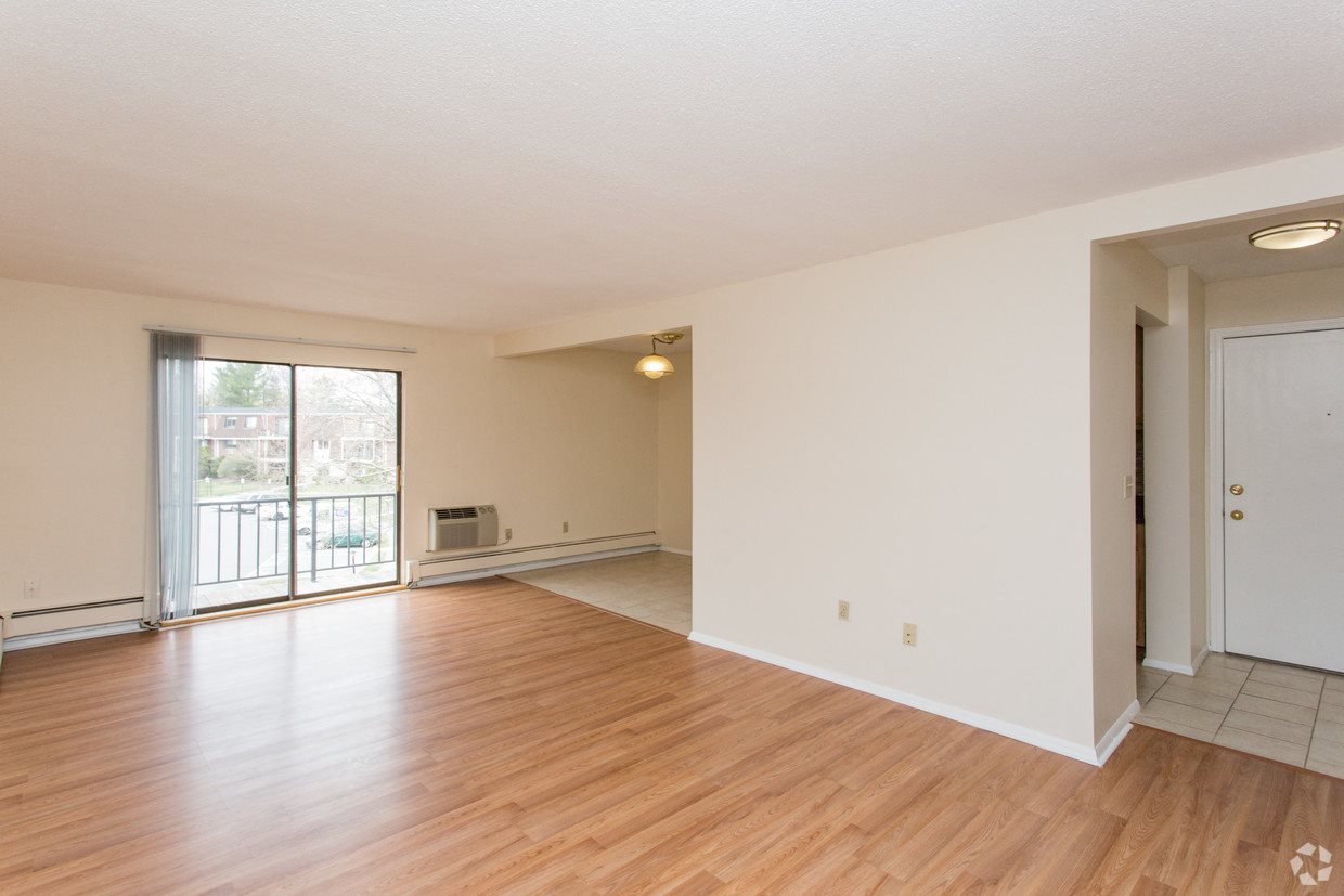 Gallery Photo 11